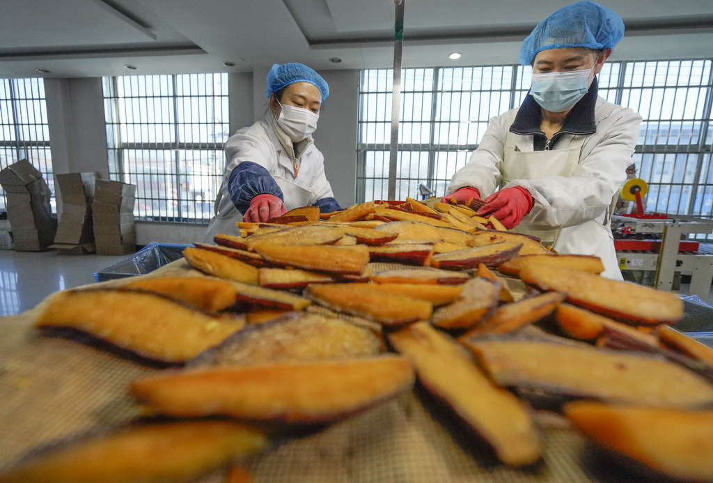 1月2日，工人在河北省遵化市蘇家洼鎮(zhèn)一家食品加工企業(yè)的車間整理紅薯干。新華社發(fā)（劉滿倉攝）